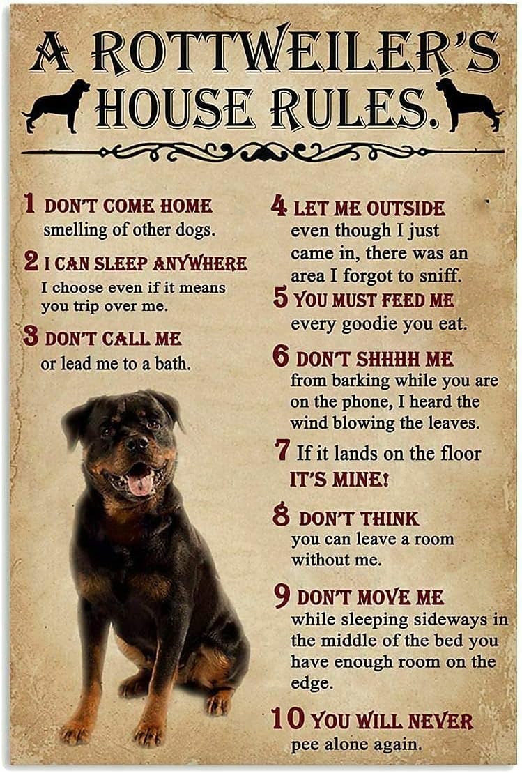 Bir Rottweiler'in Ev Kuralları - Home Office New Rules incelemesi ve fiyatı